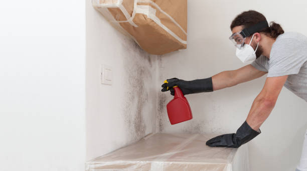 Professional Bathroom Mold Removal technician working in Halifax, NC