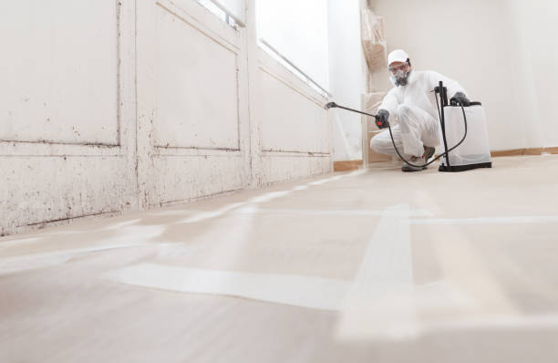 24/7 Emergency Bathroom Mold Removal experts in Halifax, NC