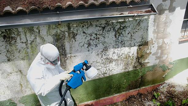 Top rated local Bathroom Mold Removal specialists in Halifax, NC